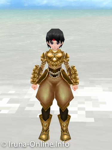 item_image_Gold Armor