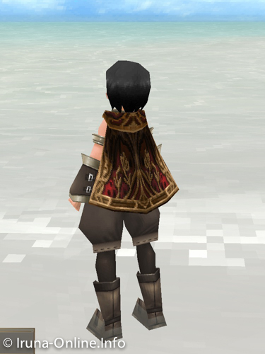 item_image_Luxe Cloak